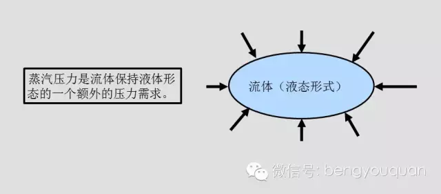 離心泵選型中的NPSH與汽蝕(圖5)
