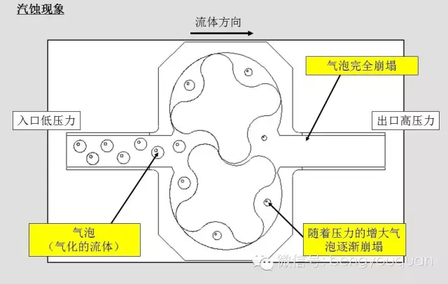 離心泵選型中的NPSH與汽蝕(圖7)